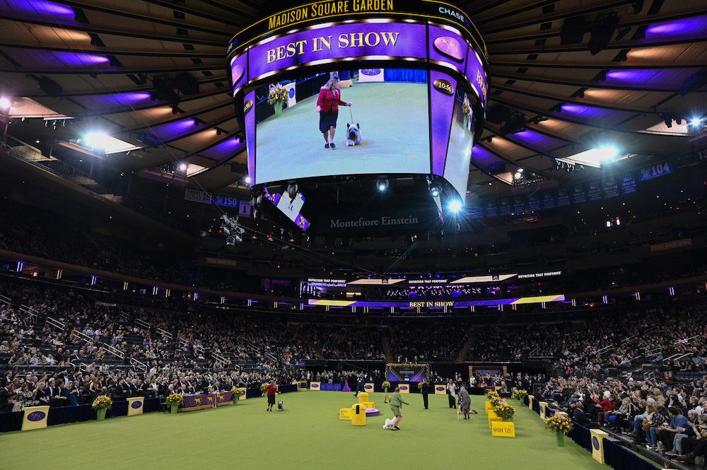 Editorial: May 23, 2025